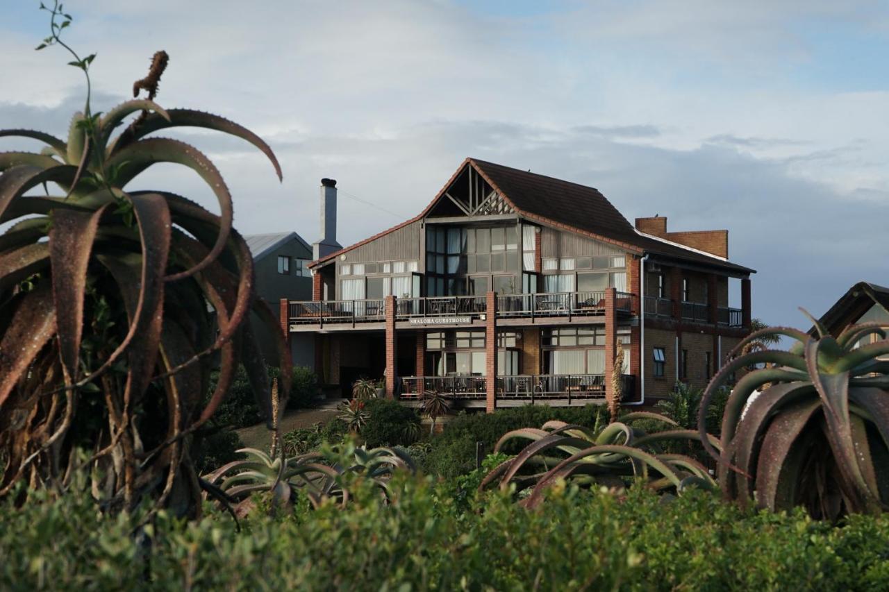 Shaloha Guesthouse On Supertubes Jeffreys Bay Exterior foto